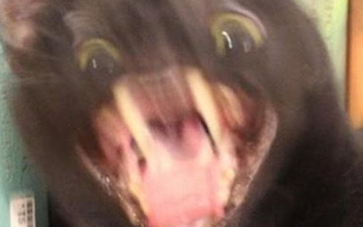 Zbiórka Zbieram Na Cebule - zdjęcie główne