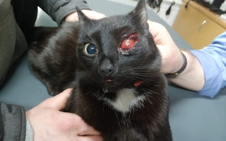 Zbiórka Pomoc dla Witka - zdjęcie główne