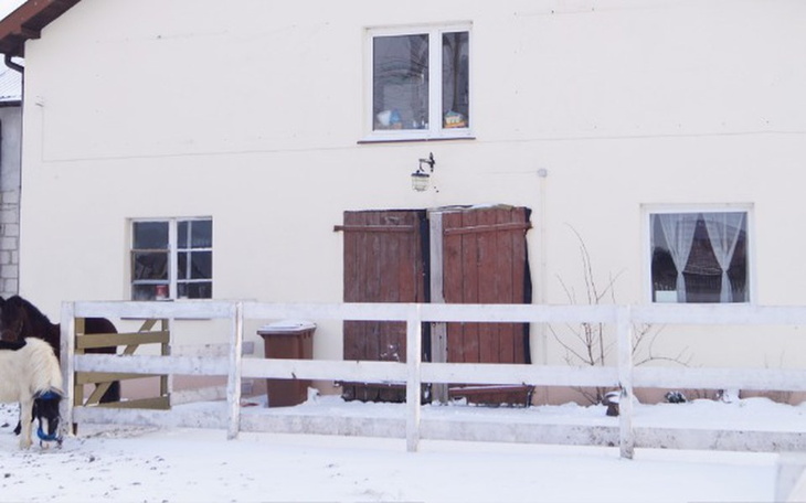 Zbiórka Drzwi do stajni,które nie zabiją - zdjęcie główne