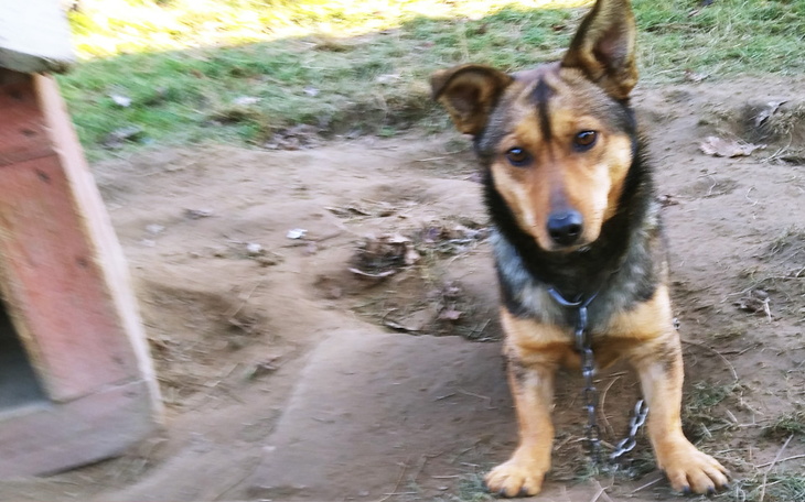 Zbiórka ratunek przed mrozem i głodem - zdjęcie główne