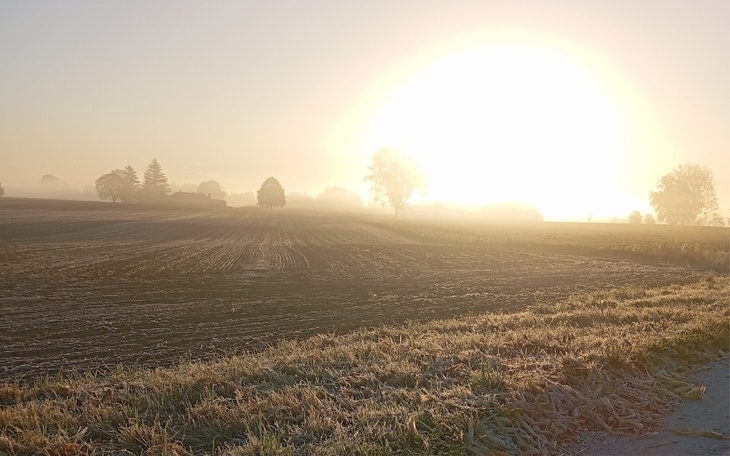 Poranny widok na pola oświetlone przez wschodzące słońce.