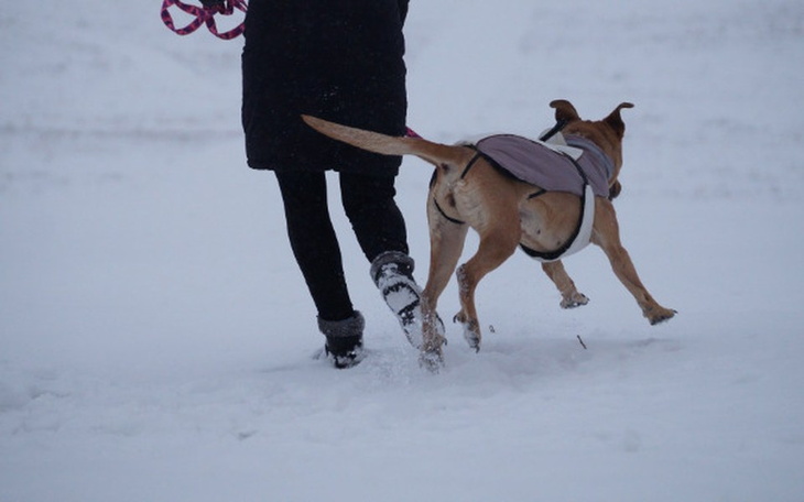 Zbiórka Bardzo długie pożegnanie... - zdjęcie główne