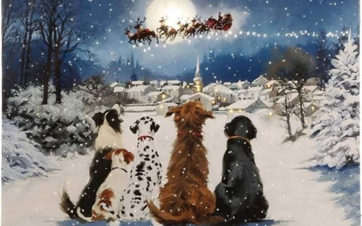 Zbiórka Prosimy o karme - zdjęcie główne