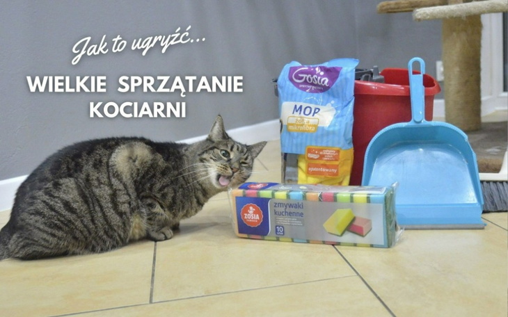 Zbiórka Wielkie Świąteczne porządki - zdjęcie główne