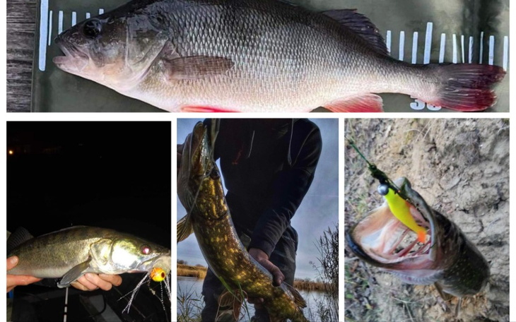 Zbiórka Wędkarski pasja-Pomoc - zdjęcie główne