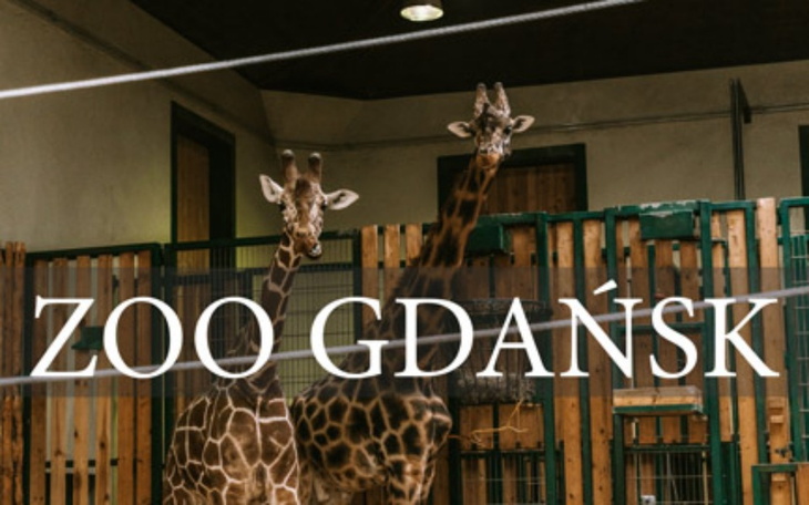 Zbiórka zbieramy na zoo - zdjęcie główne