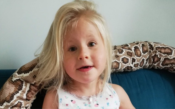 Zbiórka Polita - specjalistyczny wózek - zdjęcie główne