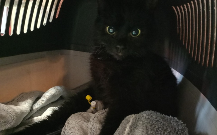 Rodzina siedząca na łóżku w jasnym pokoju.