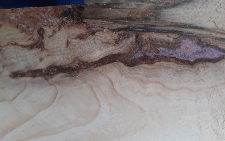 Zbiórka Na pomoc zadłużonej rodzinie - zdjęcie główne