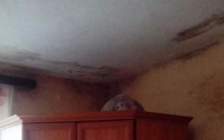 Zbiórka Remont domu .marzenie dzieci - zdjęcie główne