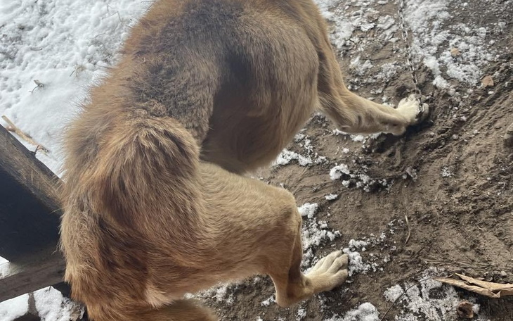 Zbiórka Na ratunek. - zdjęcie główne