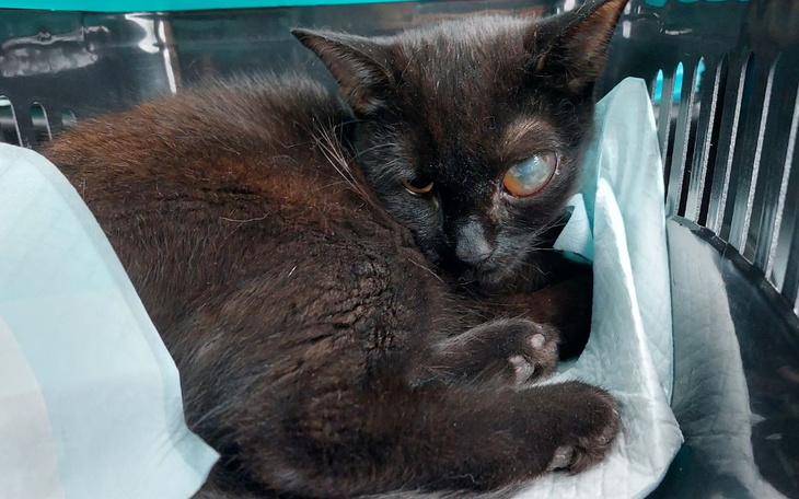 Zbiórka Straszna choroba zabiera Maślaka - zdjęcie główne