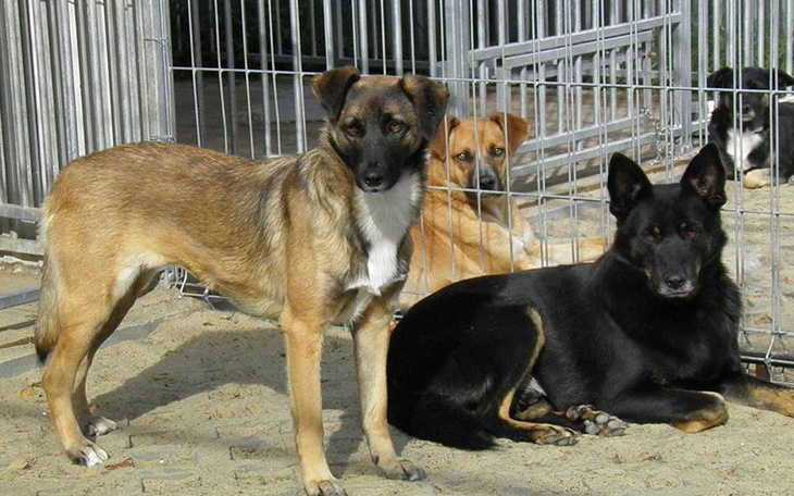 Zbiórka na codzienną egzystencję fundacj - zdjęcie główne