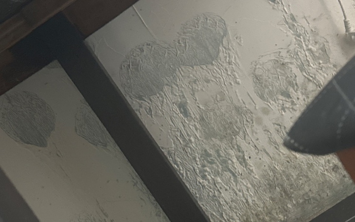 Zniszczona ściana z odciskami przypominającymi meduzy.