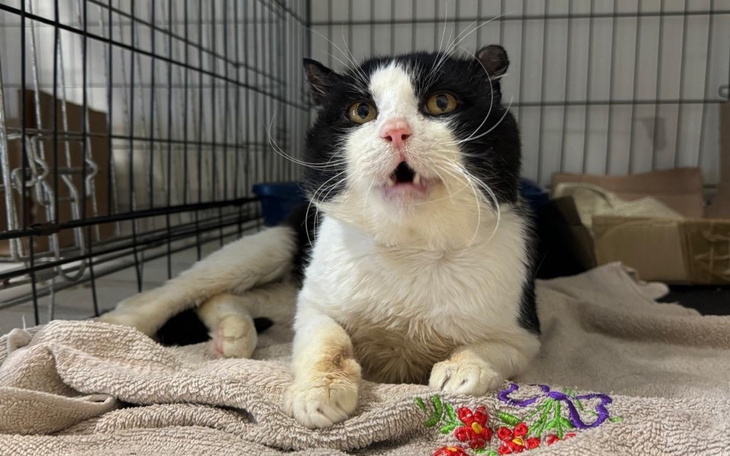 Zbiórka Walczymy o Stefana - zdjęcie główne