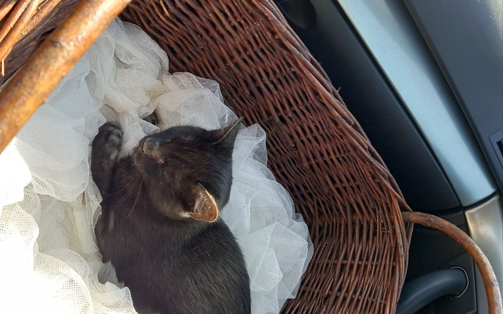 Zbiórka Razem możemy wszystko - zdjęcie główne