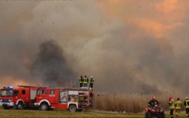 Zbiórka Biebrzański Park Narodowy płonie - zdjęcie główne