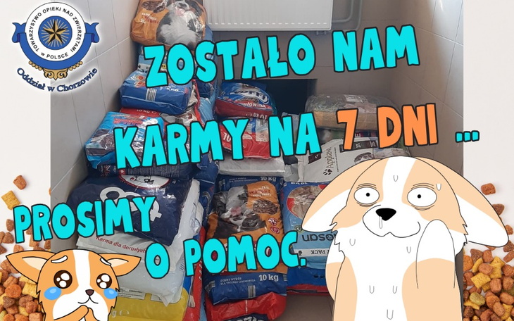 Zbiórka Na suchą karmę dla piesków - zdjęcie główne