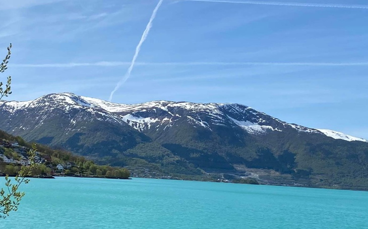 Zbiórka na bezcenną WOLNOŚĆ - zdjęcie główne