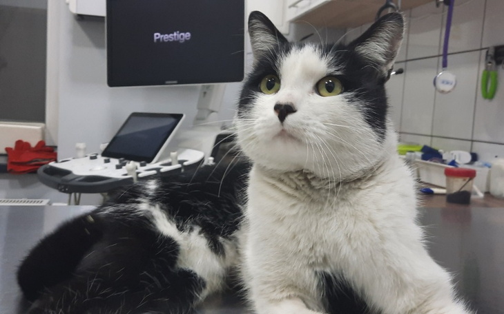 Zbiórka Wyrok na Antosia zapadł - zdjęcie główne