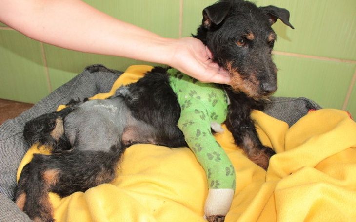 Zbiórka Zetka... postawmy ją na nóżki! - zdjęcie główne