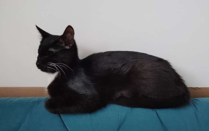 Zbiórka Diuna umiera - walka z chorobą - zdjęcie główne