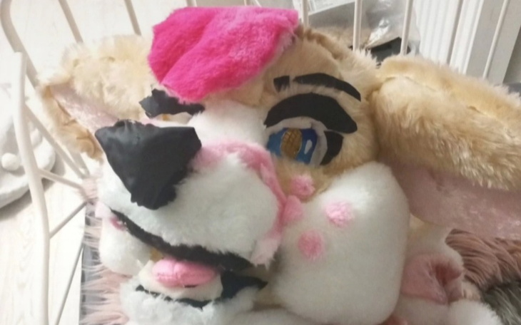 Zbiórka Marzenie furry - zdjęcie główne