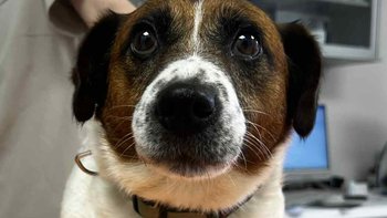 Zbiórka Pomóż Jacusiowi - miniaturka zdjęcia