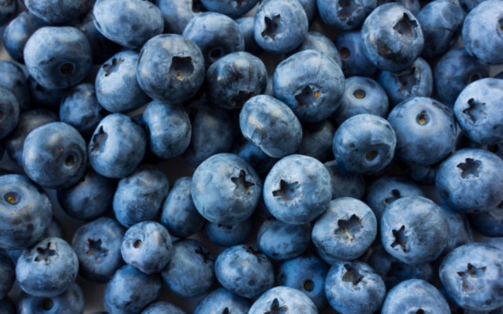 Zbiórka kilogram boruwek dla horej curki - zdjęcie główne