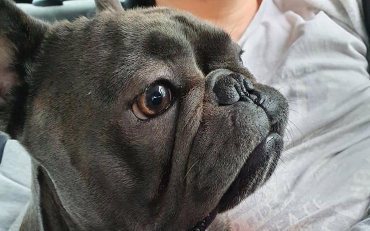 Zbiórka operacja dla Mania - zdjęcie główne