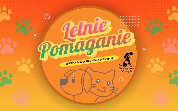 Grafika promująca zbiórkę dla schroniska dla zwierząt.