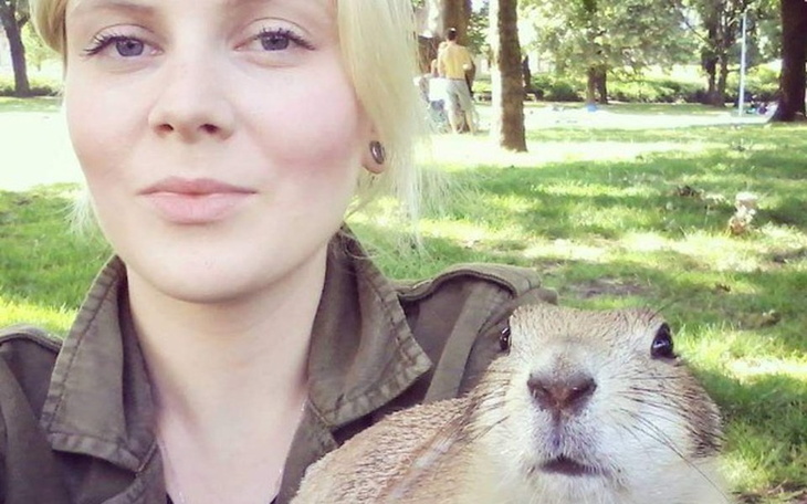 Zbiórka Na nowego towarzysza podrozy - zdjęcie główne