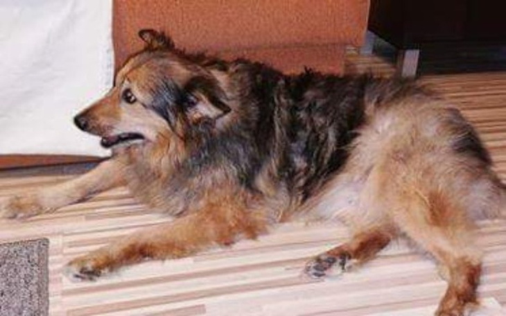 Zbiórka Gdy śmierć zagląda w oczy - zdjęcie główne