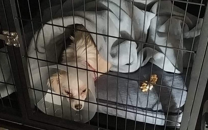 Zbiórka ZALĘKNIONA przy autostradzie - zdjęcie główne