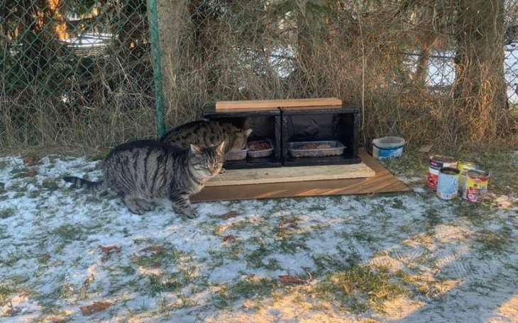 Zbiórka Pomóżmy przeżyć im zimę i mrozy - zdjęcie główne