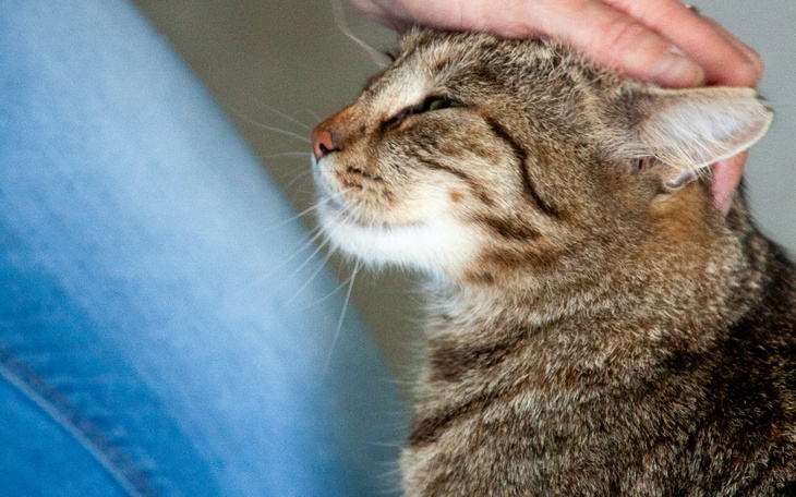 Zbiórka Wakacyjna zbiórka Bezdomniaczków - zdjęcie główne