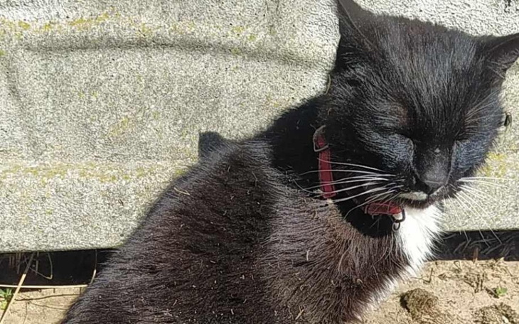 Zbiórka Umierałam jedzona przez larwy - zdjęcie główne