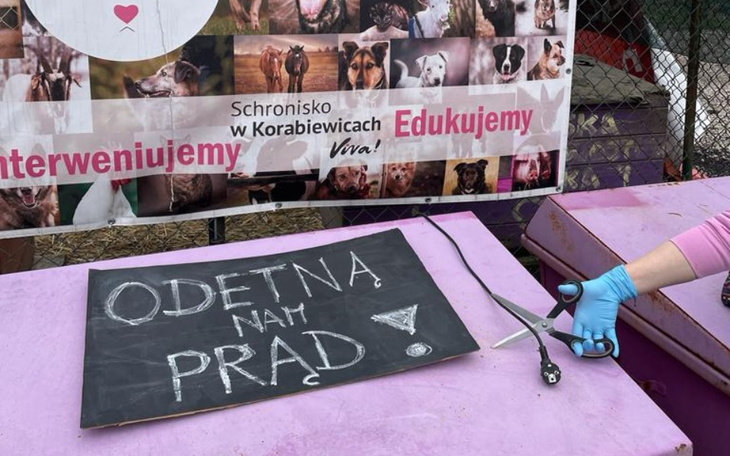 Zbiórka Żeby.nie odcięli prądu - zdjęcie główne