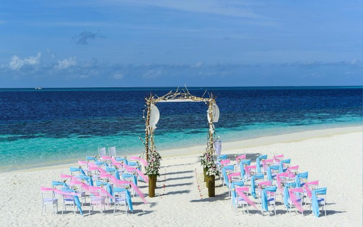 Zbiórka Podróż Poślubna - zdjęcie główne