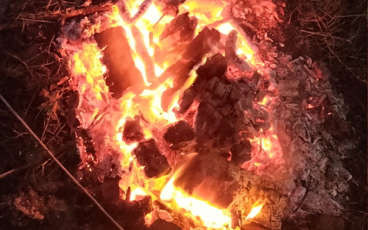 Zbiórka Bez dachu nad głową zostałam - zdjęcie główne