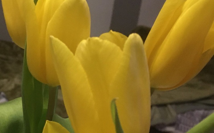 Zbiórka Zostałam okradziona, oszukana - zdjęcie główne