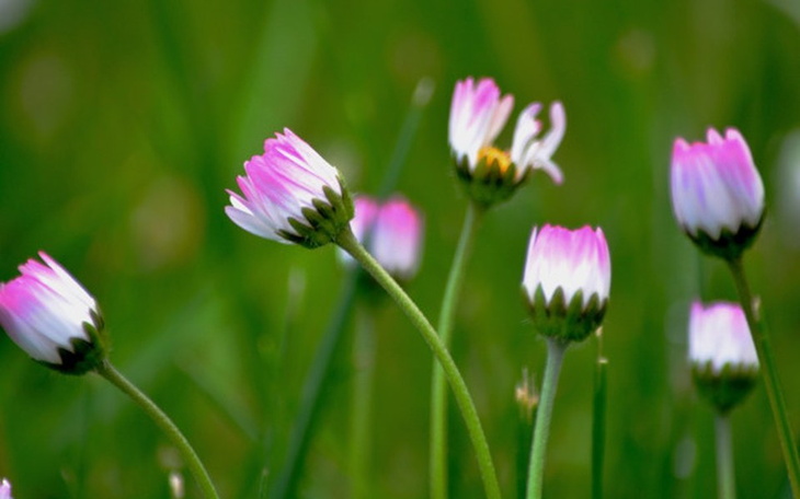 Zbiórka Something for somebody :) :* - zdjęcie główne