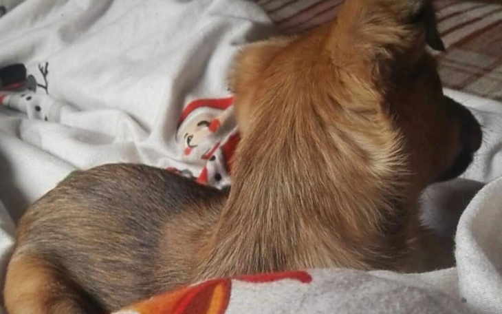 Zbiórka Na marzenia dla mojej rodziny - zdjęcie główne