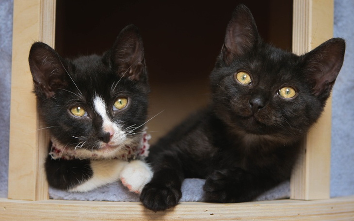 Zbiórka Czy to koniec pomagania - zdjęcie główne