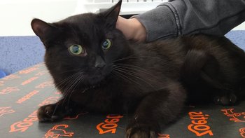 Zbiórka Tymianek nie może chodzić !!! - miniaturka zdjęcia