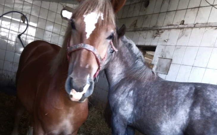 Zbiórka Dwa życia jeden wyrok - zdjęcie główne