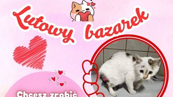 Zbiórka Lutowy Bazarek 2026 - miniaturka zdjęcia