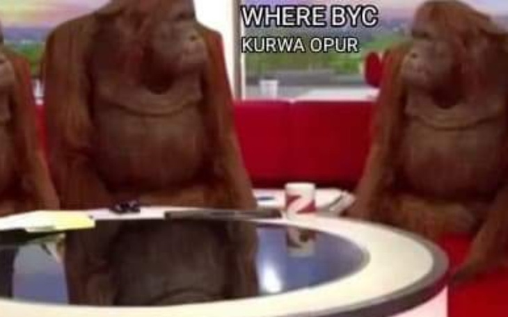 Zbiórka XDokfyo44ivg - zdjęcie główne