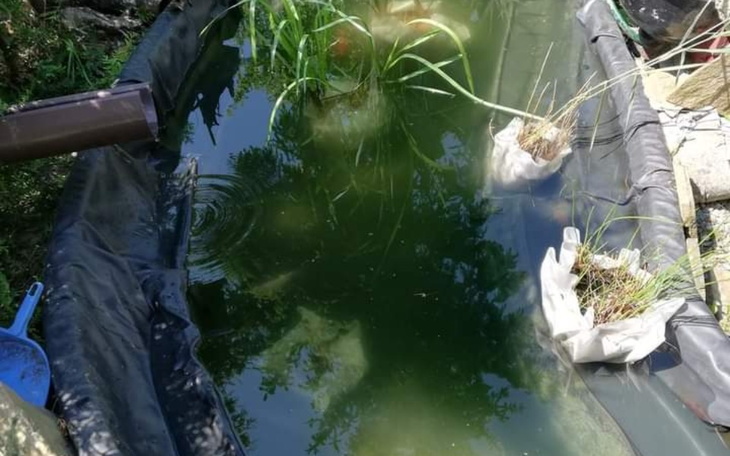 Zbiórka Zbiórka na oczko wodne - Robert - zdjęcie główne