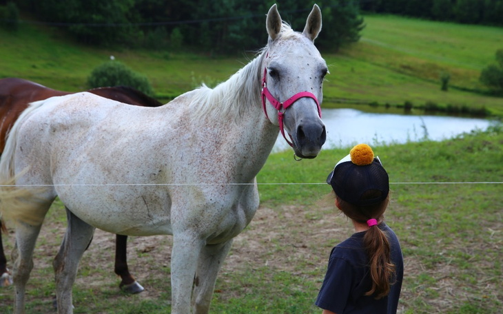 Zbiórka pomóż pomagając - zdjęcie główne